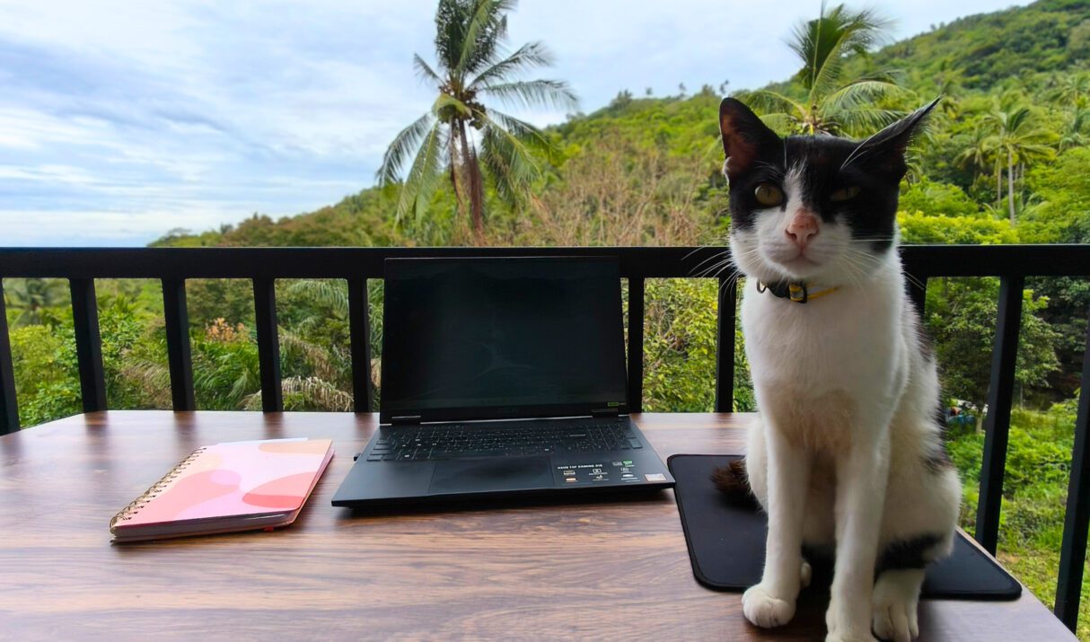 When things do not go according to plan